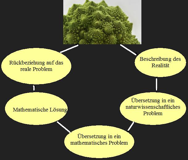 Bild von Wie wid Natur in Mathemati umgesetzt?